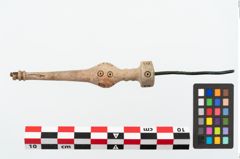 Foto von Beinnadelspitzenschoner (NHMW-PRAE-025364)